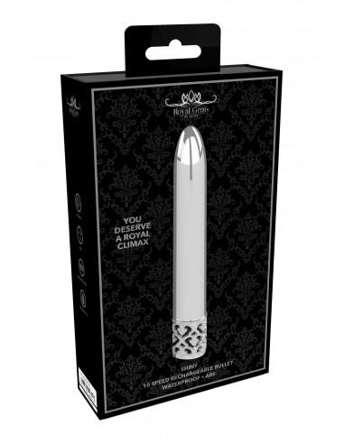 Shiny - Rechargeable ABS Bullet - Silver