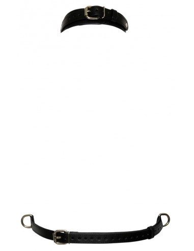 Bad Kitty Chest Harness S-L