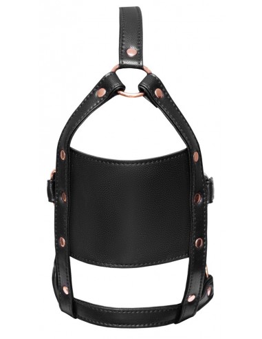 Bad Kitty Head Harness