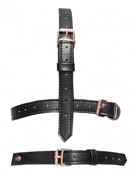 Bad Kitty Head Harness