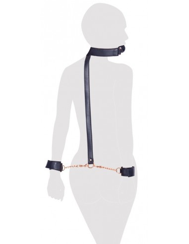 Bad Kitty Ball Gag+Cuffs rose