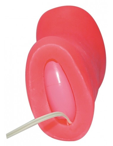 Masturbator Girl´s Pussy