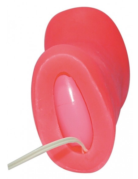 Masturbator Girl´s Pussy