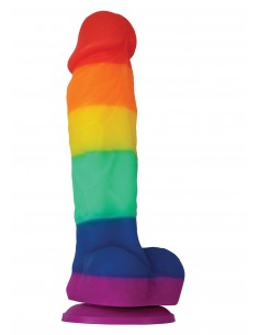 Dildo-COLOURS PRIDE EDITION 5"""" DILDO