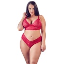 Bra and Red Briefs - 2