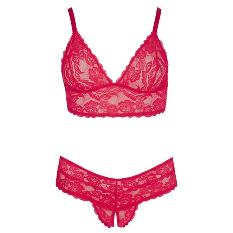 Bra and Red Briefs - 5