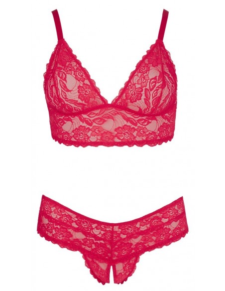 Bra and Red Briefs XL