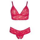 Bra and Red Briefs - 5