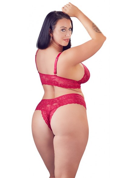 Bra and Red Briefs XL