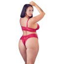 Bra and Red Briefs - 6