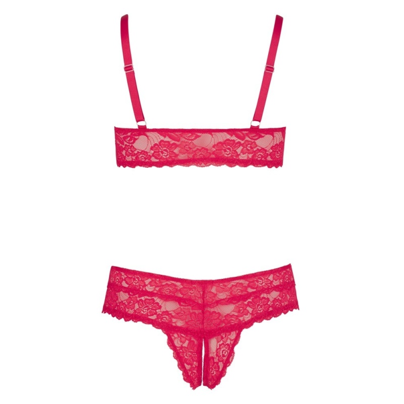 Bra and Red Briefs - 7