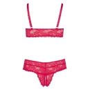 Bra and Red Briefs - 7