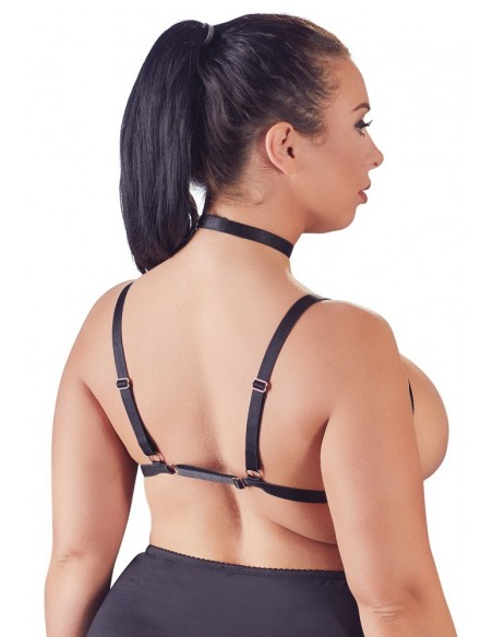 Harness L/XL