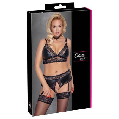 Bra and Suspender Briefs - 1