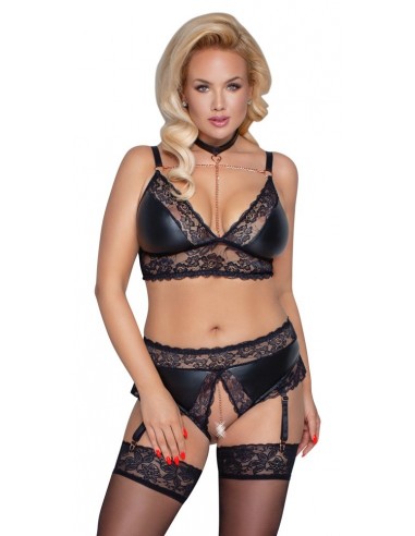 Bra and Suspender Briefs XL