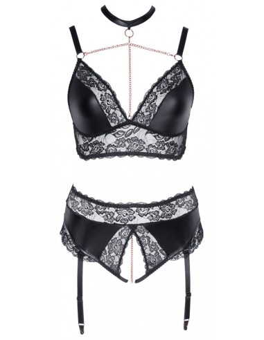 Bra and Suspender Briefs XL