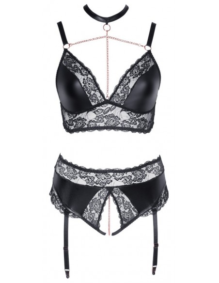 Bra and Suspender Briefs XL