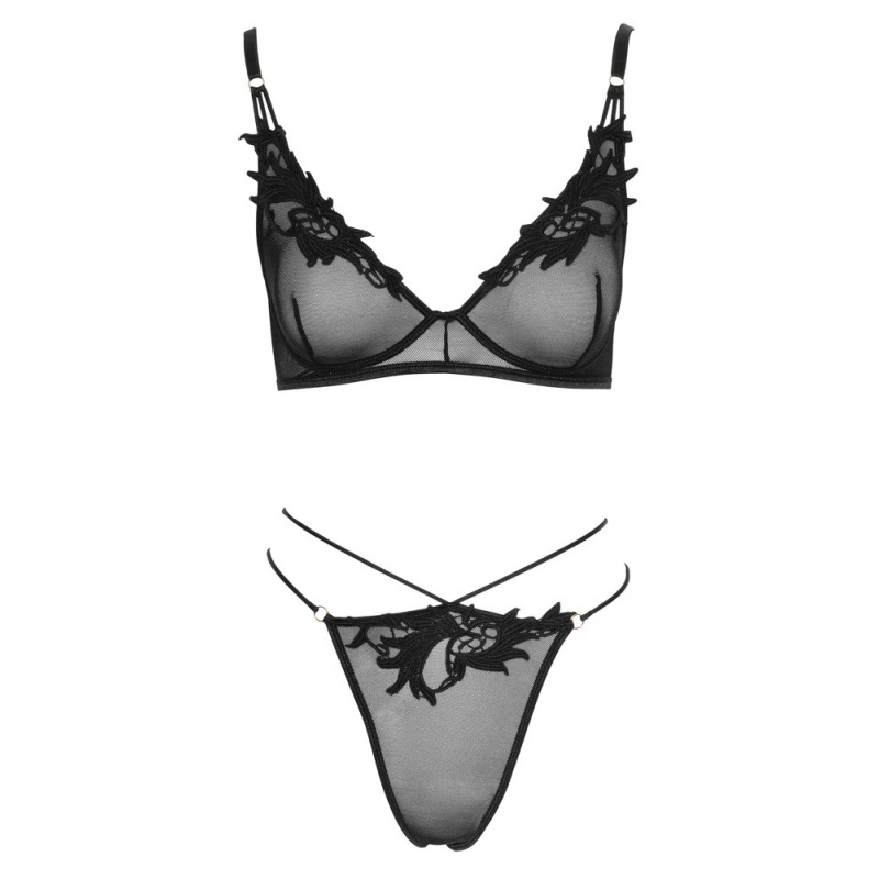 Bra and Rio XL - 3