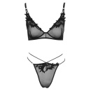 Bra and Rio XL - 3