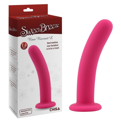 Dildo Raw Recruit L Pink - silikon medyczny, gładki trzon, przyssawka, 17,8 cm x 3,5 cm - 1