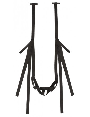 Bad Kitty Door Swing