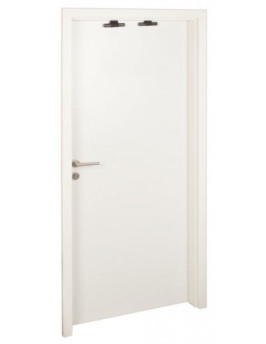 Bad Kitty Door Swing