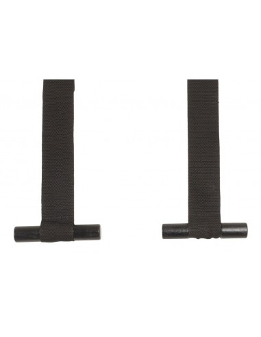 Bad Kitty Door Swing