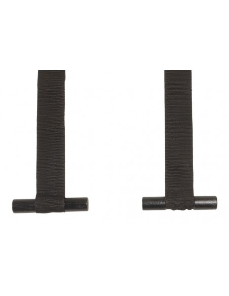 Bad Kitty Door Swing