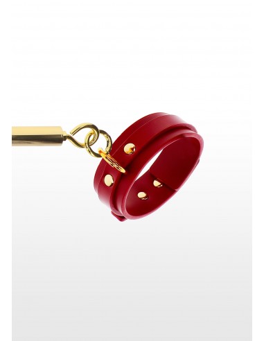 Spreader Bar with Ankle Cuffs