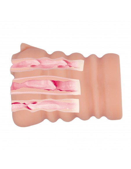 BAILE -PASSION LADY Experience three tunnels at onece