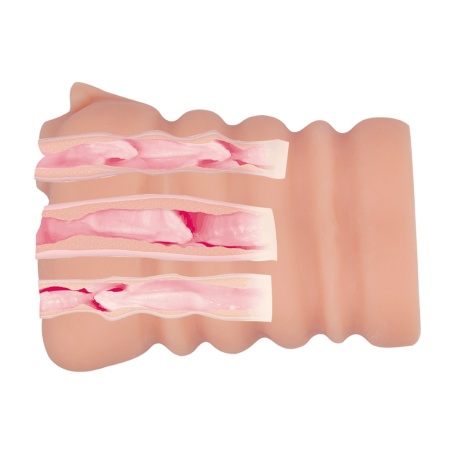Masturbator PASSION LADY z trzema tunelami penetracyjnymi (13,5 cm) - 6