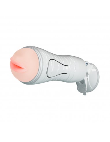 CRAZY BULL - Flora, Suction base 