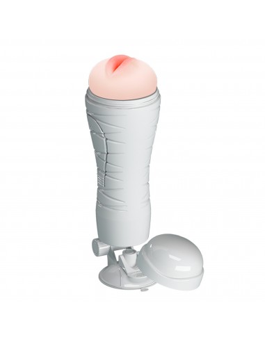 CRAZY BULL - Flora, Suction base 