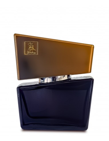 SHIATSU Pheromon Fragrance man grey 50 ml