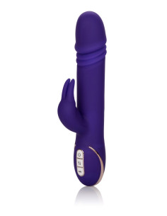 Thrusting Rabbit Signature Purple