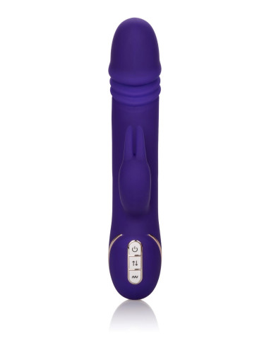 Thrusting Rabbit Signature Purple