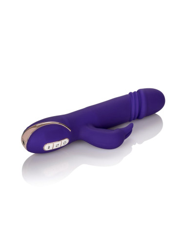 Thrusting Rabbit Signature Purple