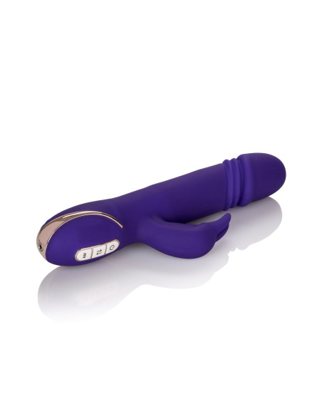 Thrusting Rabbit Signature Purple