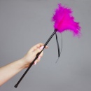 Plumero Plumas Fucsia - 2