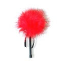 Pejcz-Mini Red Feather Tickler - 1
