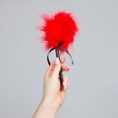 Pejcz-Mini Red Feather Tickler - 2