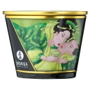 Massage Candle Exotic Green Tea - 3