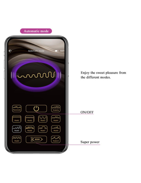 PRETTY LOVE - Baird, 12 vibration functions Mobile APP Long-distance Control