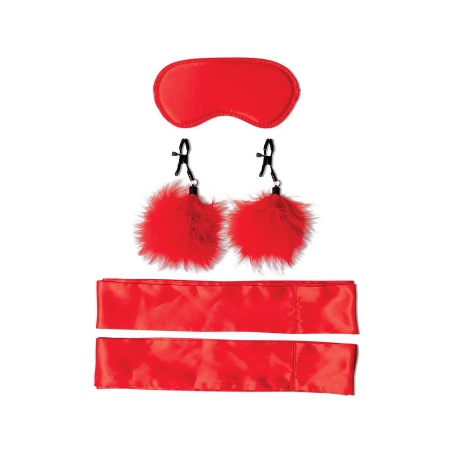 SPORTSHEETS SM AMOR BONDAGE BEGINNER KIT - 2