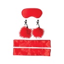 SPORTSHEETS SM AMOR BONDAGE BEGINNER KIT - 2