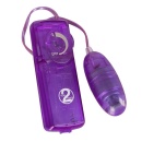 Zestaw Purple Appetizer 9-częściowy — TPE/ABS, wibrator 19 cm i sztyft analny 23 cm - 5