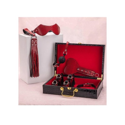 Suitcase bondage set red - 1 2