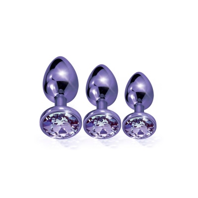 NIXIE METAL BUTT PLUGÂ TRAINERÂ SET, PURPLE METALLIC - 1 2