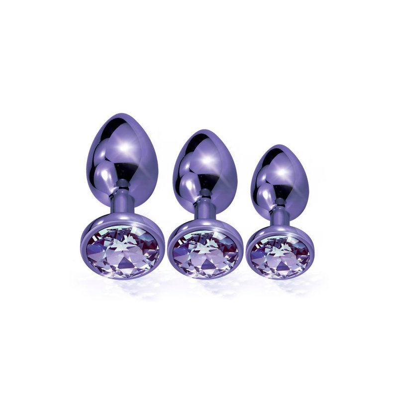 NIXIE METAL BUTT PLUGÂ TRAINERÂ SET, PURPLE METALLIC - 2