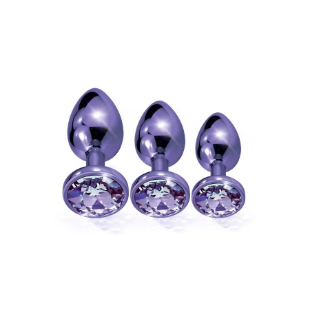 NIXIE METAL BUTT PLUGÂ TRAINERÂ SET, PURPLE METALLIC - 2